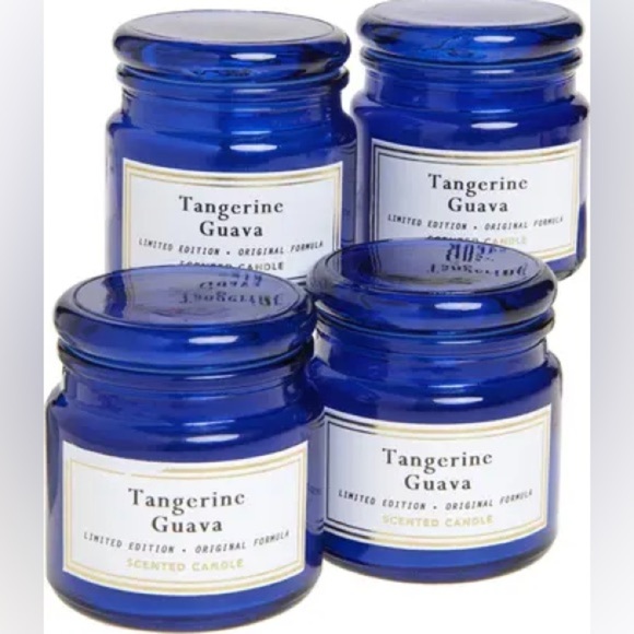 Set of 4 Tangerine Guava Scented Candle - Blue New in box - Picture 1 of 8